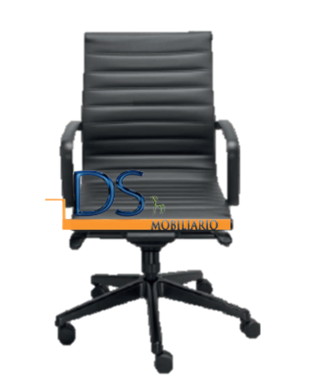 DS/RE-1751N/MGG