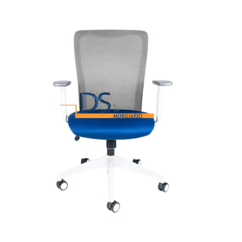 DS/RE-2180/NG-BL