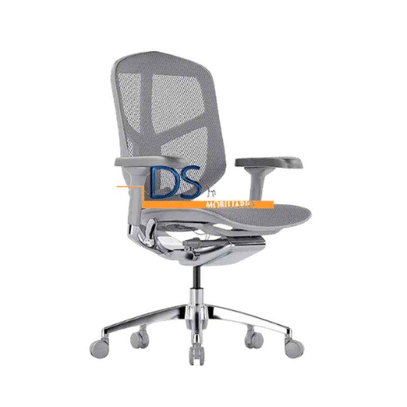 DS/RE-9101-NG/GR