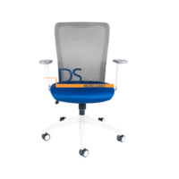 DS/RE-2180/NG-BL