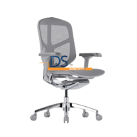 DS/RE-9101-NG/GR